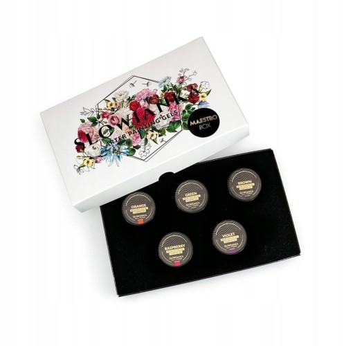 SLOWIANKA Zestaw żeli do zdobień Arter Painting Gels MAESTRO BOX 5x50g