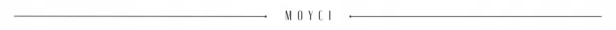 MOYCI Top No Wipe Cat Eye Magnetyczny Srebrny TOP MEOWGNETIC ONYX 6ml