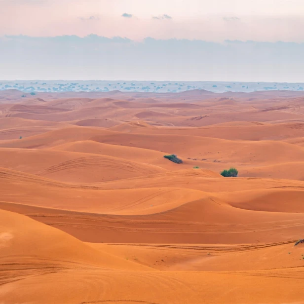 decb19d7fe617d00989137ea47349273